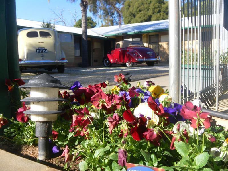 קורווה Lone Pine Motel מראה חיצוני תמונה
