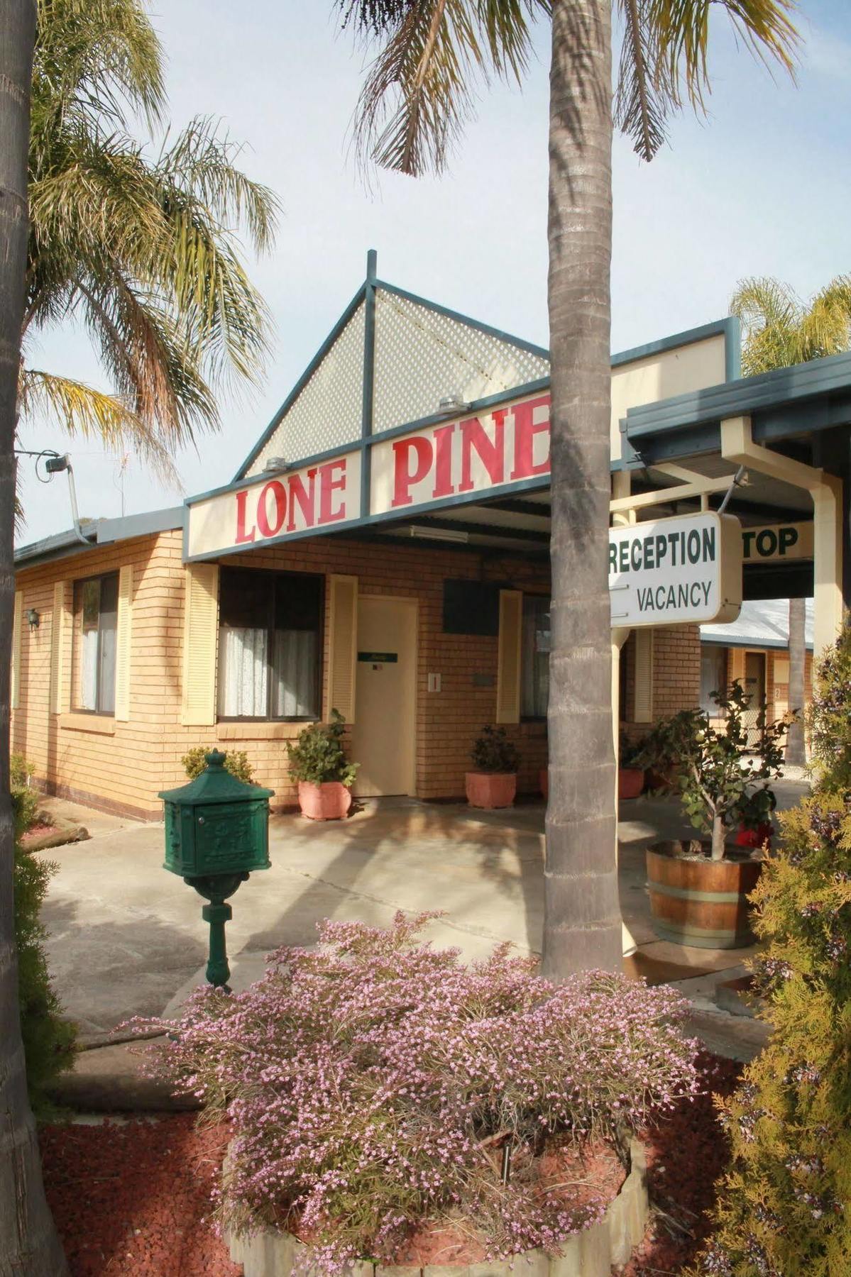 קורווה Lone Pine Motel מראה חיצוני תמונה